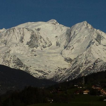 Апартаменти Appart En Rez De Jardin Clos Face Au Mont Blanc Комблу Екстер'єр фото